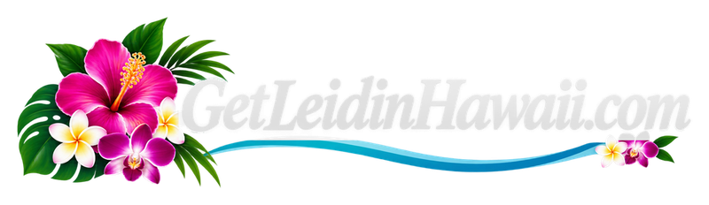 GetLeidinHawaii.com